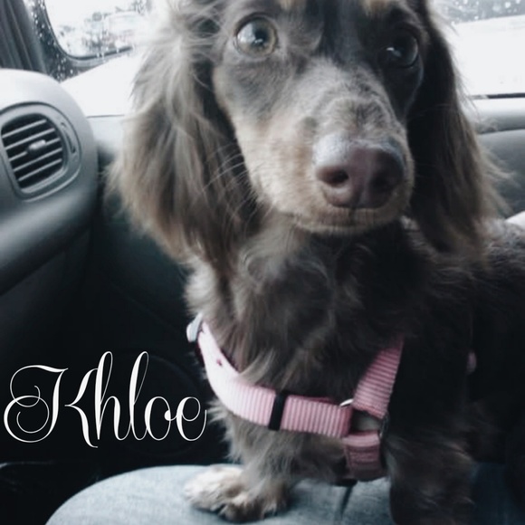 GREETINGS !! - Picture 4 of 8